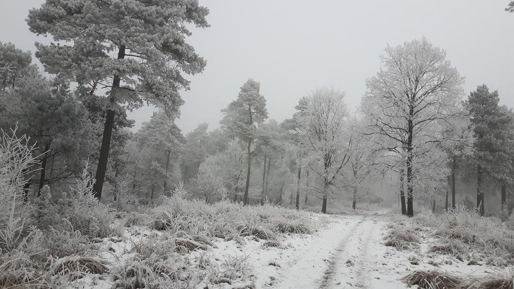 B&BDe Hassehof Sellingen Buitenkant foto